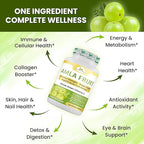 Organic Veda Amla Capsules - 1500mg, 300 Capsules - Natural Vitamin C Supplement with Antioxidants, Polyphenol for Immunity, Skin Glow & Hair Growth - Single Origin Premium Organic Amla Fruit Powder