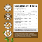 Bundle of Nootropic Brain Supplement for Mental Health & Clarity with VIT A, B6, Riboflavin, Niacin, Thiamin, Folate and Advanced Lion's Mane Mushroom Supplement - Brain Health Memory Support & Focus