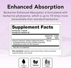 Theralogix Berberine Enhanced Absorption - 90-Day Supply - Made with Berberine Phytosome to Help Support Healthy Metabolism & Hormone Balance* - NSF Certified - 90 Capsules