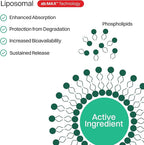 Liposomal Vitamin C for Adults, 500mg Sugar-Free Gummies, Immune Support Supplement, Powerful Antioxidant, Energy and Collagen Booster, 30 Servings in Travel Pack - Strawberry Guava Flavor