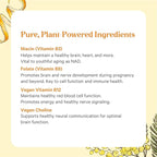 PURE SYNERGY Super B-Complex | Vitamin B Complex Made with Organic Whole Foods | Vegan Supplement with Natural Vitamin B12, Niacin, and Folate | for Energy, Focus and Mood Support (60 Tablets)