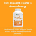 Jigsaw Health Adrenal Cocktail + Wholefood Vitamin C | with Potassium Bicarbonate, Sea Salt, and Acerola Cherry Extract | 360 Capsules | 60 Servings