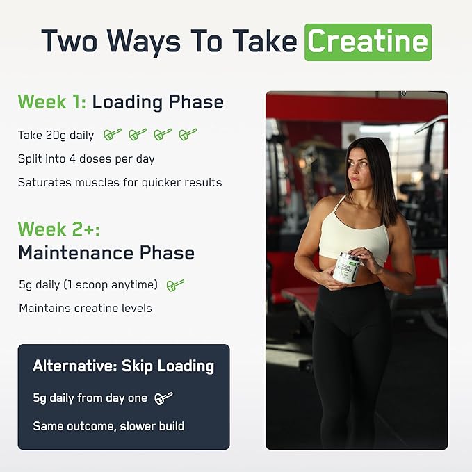 SteelFit Creapure Creatine Monohydrate Powder, Unflavored - German Micronized Creatine Powder for Men & Women - Gym Workout Nutritional Supplements for Muscle Gain, Brain Health & Strength Building
