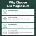 Organics Ocean Pure Magnesium Glycinate with Zinc - Maximum Strength Chelated Magnesium Supplement for Women and Men for Muscle Cramps and Sleep Support - 6 Bottles