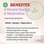 Sun Vitals Core Mind – Nootropic Brain Supplement for Focus, Memory & Mental Clarity | DMAE, Bacopa Monnieri, Phosphatidylserine & Huperzine A | Non-Stimulant, Caffeine-Free | 60 Capsules