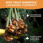 HANDPICK Lakadong High Curcumin Turmeric Powder (226g/ 8oz) Non GMO, Gluten Free, 100% Raw, Sourced from India, High Curcumin, Premium Quality, Packed in Resealable Ziplock Pouch