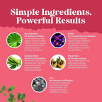 Extra Strength Saw Palmetto for Women - DHT Blocker Restoring Hair Vitamins for Hair Health - 500mg Pure Saw Palmetto Capsules with Maca Root & Biotin for Stronger Healthier Looking Hair 180 Count