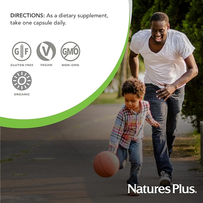 NaturesPlus Source of Life Garden Iron - 30 Quick-Release Capsules - Plant-Based Iron Supplement with 20+ Whole-Food Extracts - Fast Acting - USDA Certified Organic - 30 Servings