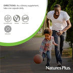 NaturesPlus Source of Life Garden Iron - 30 Quick-Release Capsules - Plant-Based Iron Supplement with 20+ Whole-Food Extracts - Fast Acting - USDA Certified Organic - 30 Servings