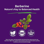 Paradise Herbs, Berberine Extract, 500 mg, Pure & Potent Berberine Supplement, Vegan, Non-GMO, Gluten Free, 60 Vegetarian Capsules (Pack of 2)
