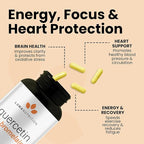 Luma Nutrition Quercetin 500mg - Quercetin with Bromelain Supplement - Antioxidant - Immune Support - Vegan & Gluten-Free - 60 Capsules