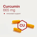 PROTOCOL FOR LIFE BALANCE Curcumin Turmeric Root Extract - 95% Standardized Curcuminoids - 665 mg Curcumin - Curcumin Turmeric Supplements - Non-GMO & Kosher - 60 Veg Capsules