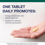 Metagenics Cortico-B5B6 - Adrenal Hormone & Energy Support with Vitamin B5, B6, Vitamin C, Magnesium & Calcium - Non-GMO, Gluten-Free, Vegetarian - GMP Certified Facility - 60 Tablets