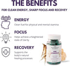 Pre-Workout Supplement - Focus & Performance Stack with Lion’s Mane, Creatine, American Ginseng & Beta-Glucans – Natural Energy & Endurance Without Caffeine - 60 Vegan Capsules