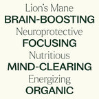 Plant Therapy Organic Lion's Mane Tincture 30 mL (1 oz) Supports Brain Health, Mental Clarity & Memory, Potent & Natural Extraction Process, Vegan, Non GMO, Gluten Free, Liquid, 1 Bottle