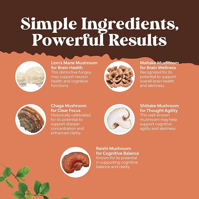 Bundle of Nootropic Memory Supplement with Vitamin B 12 Bacopa Monnieri Rhodiola Rosea DMAE Ginkgo Biloba and Mushroom Complex 10X Lions Mane with Reishi Chaga Maitake Shiitake for Brain Support