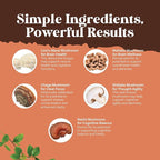 Bundle of Nootropic Memory Supplement with Vitamin B 12 Bacopa Monnieri Rhodiola Rosea DMAE Ginkgo Biloba and Mushroom Complex 10X Lions Mane with Reishi Chaga Maitake Shiitake for Brain Support