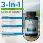 NMN Synergy+ 700mg – Premium NMN Supplement with Resveratrol & Pterostilbene | Advanced NAD+ Supplement for Cellular Energy, & Wellness Support | Non-GMO, Vegan, 60 Capsules