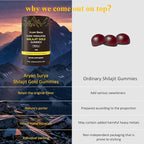 Natural Himalayan Shilajit Gold Gummies – 3000mg Shilajit with KSM-66 Ashwagandha, Gokshura & Black Musli, No Added Sugar Energy & Stamina Support Supplement for Men & Women – 60 Gummies