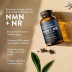 Mt. Angel Vitamins NMN Supplement + NR with Resveratrol & TMG, Dual NAD+ Precursors for Cellular Energy & Healthy Aging, 60 Capsules