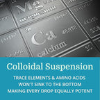 Morter Trace Minerals in Colloidal Suspension (12 Pack) Morter HealthSystem Best Process Alkaline — Nutrient Dense Trace Elements, Fulvic Minerals & Amino Acids