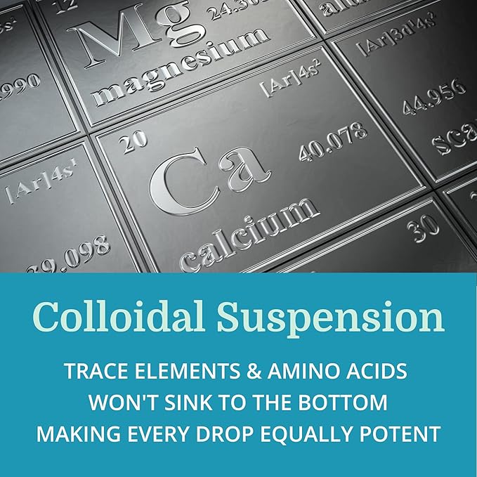 Morter Trace Minerals in Colloidal Suspension (12 Pack) Morter HealthSystem Best Process Alkaline — Nutrient Dense Trace Elements, Fulvic Minerals & Amino Acids