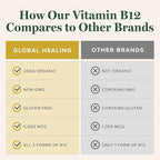 Global Healing - Organic Vitamin B12 5000 MCG Sublingual Liquid - Methylcobalamin, Hydroxo Blend & More - Methylated Drops for Adults - Vegan, Non-GMO, VIT B12, Vitamins Supplement (2 Oz)