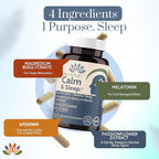Migra-Well PM Sleep Aid for Adults – Magnesium Bisglycinate with Apigenin & Passionflower for Calm, Deep Sleep & Nerve Support – Non-Habit Forming, Plant-Based Sleep Supplement, 60 Capsules