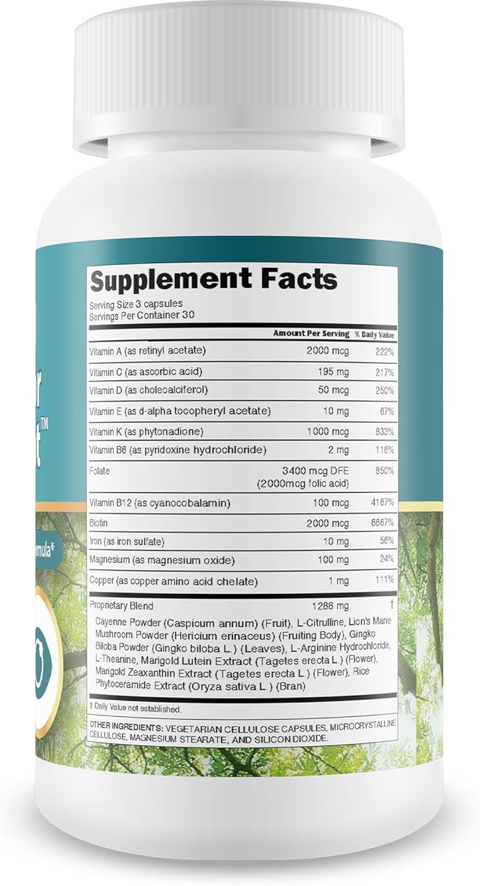 Vision Support Tree of Life Herb for Eyesight - Our Best Eye Supplement Vision Improvement Pills - Lutein Supplements for Eyes - Vision Sight Supplement Eye Health Supplements for Adults Over 50