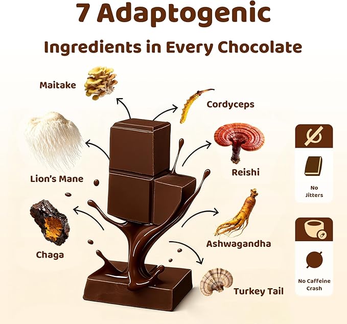 Mushroom Chocolate for Couples – Multi-Mushroom Chocolate Blend with Lion’s Mane, Reishi, Cordyceps, Chaga, Maitake & Turkey Tail | Focus, Cognition & Mood Support | 20 Pieces