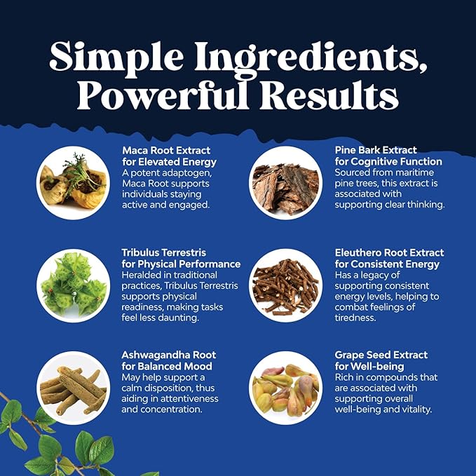 Potent Black Maca Root Capsules for Men - Herbal Wellness Supplement with Siberian Ginseng Ashwagandha and Black Maca Root - Men’s Wellness Supplement to Support General Health - 120 Count