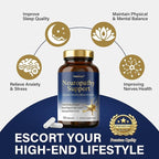 Neuropathy Supplements | Premium Nerve Support for Nerve Health, Regeneration, Cognitive | R-Alpha Lipoic Acid Vitamin B1, B6, B12, Magnesium | 120 Vegan Capsules, 40 Day Supply