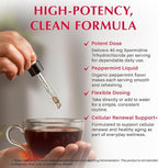 Spermidine Liquid Drops — Cellular Renewal & Healthy Aging Support, High-Potency 40 mg, Organic Peppermint Flavor, Bioavailable Polyamine Supplement — 2 fl oz