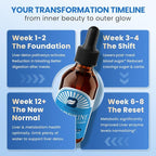 Berberine Supplement with Ceylon Cinnamon - Berberine Liquid Drops with Turmeric Curcumin, Ceylon Cinnamon, Bitter Melon, Berberine Phytosome for Digestion System, Immune Health Support -Vegetarian