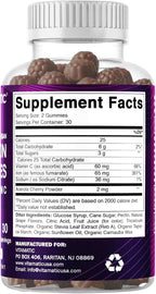 Vitamatic Iron 65 mg Gummies Supplement for Women & Men - 60 Vegan Gummies - Great Tasting Iron Gummy Vitamins with Vitamin C (1)