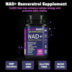 NAD+ Resveratrol Supplement – Longevity Formula with Nicotinamide Adenine Dinucleotide with CoQ10, Apigenin & Turmeric Anti-Ageing Formula for Men & Women – 60 Capsules