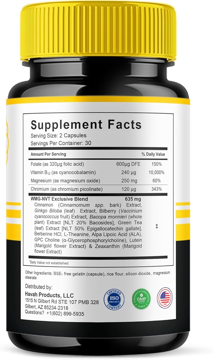 BLUE VIBE Mind Boost Premium Health & Wellness Nootropic Supplement, MindBoost Advanced All Natural Health Management & Overall Wellness Support Supplement Formula Pills (2 Pack - 120 Capsules)