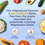Vitalitown Magnesium Zinc, with Vitamins D3 & B6, Chelated Magnesium Glycinate, Malate, Citrate, Taurate, High Absorption, for Sleep, Bone, Heart, Immune, Digestive Support, 60 Caps