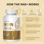 nmn Supplement 1000mg Pure Organic with Resveratrol - 3-in-1 Advanced Formula for NAD+ Boost, Cellular Energy & Anti-Aging - 99% Pure NMN, Supports Immune & Muscle Health - 60 Vegan Capsules,