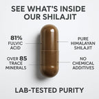 Natural Himalayan Shilajit Capsules - High Fulvic Acid & 85+ Trace Minerals, Lab-Tested for Purity, Natural Supplement for Immune Support & Cognitive Health, 60 Vegan Capsules