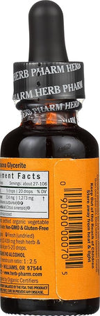 Herb Pharm Kids Echinacea Extract Alcohol-Free Certified Organic Liquid Herbal Supplement for Kids, Immune Support Drops for Toddlers & Children, Non-GMO, Vegan, Echinacea Purpurea Root, 1 fl oz