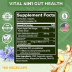 Vital Gut Health 4in1 Formula with Apple Cider Vinegar, Prebiotics & Probiotics, Digestive Enzymes for Strong Immunity Support and Complete Gut and Digestion Support- 60 Days Supply