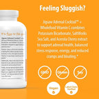 Jigsaw Health Adrenal Cocktail + Wholefood Vitamin C | with Potassium Bicarbonate, Sea Salt, and Acerola Cherry Extract | 360 Capsules | 60 Servings