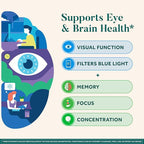 NEURIVA Brain + Eye Supplement for Memory, Focus & Concentration with Lutein & Vitamins A C E and Zinc for Eye Health & Zeaxanthin to Filter Blue Light, 30ct Capsules, (Pack of 2)