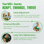 NAD+ Supplement for Energy Metabolism Support, Liposomal Capsules Containing Resveratrol,Nicotinamide Ribosidean & Quercetin,Alternative to NMN Supplement,Gluten-Free,Vegan (2PCS)