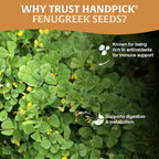 HANDPICK Fenugreek Seeds (14oz) ALL NATURAL Fenugreek - Indian Origin Whole Methi Seeds (Trigonella Foenum Graecum) Fenogreco En Semillas | Resealable Ziplock Pouch