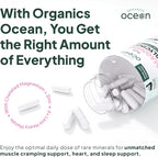 Organics Ocean Pure Magnesium Glycinate with Zinc - Maximum Strength Chelated Magnesium Supplement for Women and Men for Muscle Cramps and Sleep Support - 90 Capsule