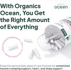 Organics Ocean Pure Magnesium Glycinate with Zinc - Maximum Strength Chelated Magnesium Supplement for Women and Men for Muscle Cramps and Sleep Support - 2 Bottles