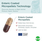 AVVA Pharmа Pancreatic Enzymes - 10,000 USP Effective Pancreatic Enzyme Supplements - Digestive Enzymes for Digestion - 50 Fast-Acting Capsules with Amylase, Lipase and Protease