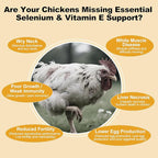 E+S Poultry Vitality Formula | Selenium for Chickens and All Poultry | Nutrient Support Liquid for Energy Balance and Mobility | Feed Mix Additive for Healthy Growth